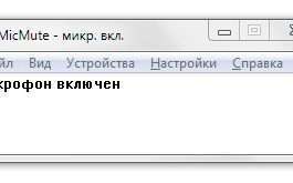 MicMute – дозволяє швидко включати і відключати мікрофон