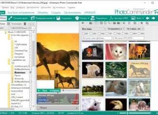 Ashampoo Photo Commander Free – перегляд і корекція фото