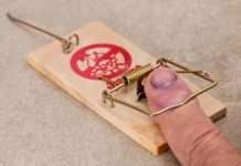 Біометрична захист: що потрібно знати про неї?