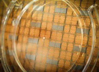 Ринок напівпровідників за 2021 рік виросте на 25 %, спрогнозували аналітики