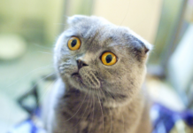 Доходи майнер ефіру на відкритих сильно впали – geforce rtx 3080 окупається за 17 місяців