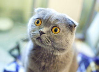 Доходи майнер ефіру на відкритих сильно впали – geforce rtx 3080 окупається за 17 місяців