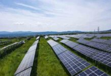 Найбагатша людина азії продовжив інвестиції в екологічно чисту енергетику