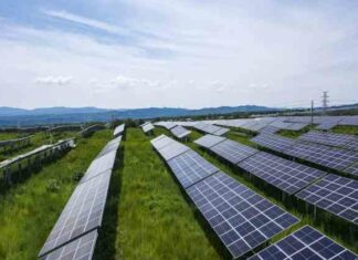 Найбагатша людина азії продовжив інвестиції в екологічно чисту енергетику