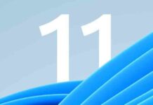 Статистика windows від adduplex за вересень показує наявність windows 11 на 1,3% комп’ютерів