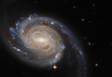 Фанати критикують якість ігор з nintendo 64 в розширеній підписці switch online