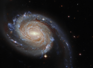 Фанати критикують якість ігор з nintendo 64 в розширеній підписці switch online