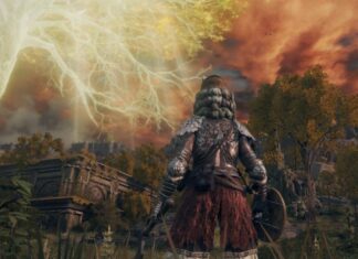 У короткому відео elden ring показаний новий красивий пейзаж з осіннім лісом