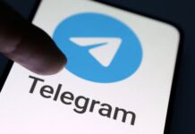 Двойник Оруэлла: Как Telegram стал зеркалом противоречий цифрового мира