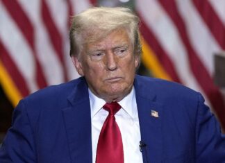 Трамп и Маск: Неожиданный тандем или политический трюк?