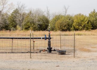 Microsoft і несподіваний Герой: людські відходи на службі боротьби зі зміною клімату