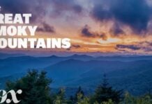 Great Smoky Mountains, Mining and Rural Health: Огляд останніх публікацій