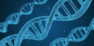 АльфаГеном: ШІ Google розшифровує приховану мову ДНК 🧬