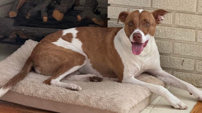 d1cc1574-eb5b-4788-a36e-14c3be3d39c1