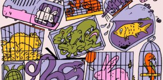 Приховані страждання Маленьких Вихованців: Чому зміст їх може бути етично необгрунтованим