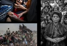 Визначення фокусу: нові суворі правила фотоконкурсів в епоху ІІ