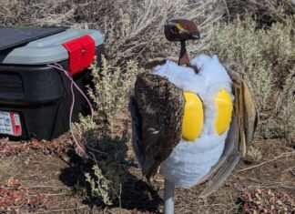 Високотехнологічні імітатори птахів: чи зможуть роботи-птиці врятувати види, що зникають?