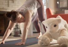Roomba Creator lancia il robot AI “Pet” progettato per combattere la solitudine