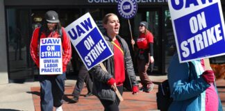 The Myth of the Binary Working Class: Why Labeling Lawyers and Laborers as One Undermines the Left