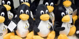 Unix versus Linux: waarom het debat er nog steeds toe doet